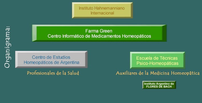 Esquema de Organizaci&oacute;n del Centro Inform&aacute;tico y Formativo